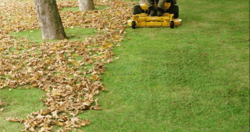 Fall Cleanup Eddies Lawn Landscaping, Fall Clean Up Landscaping